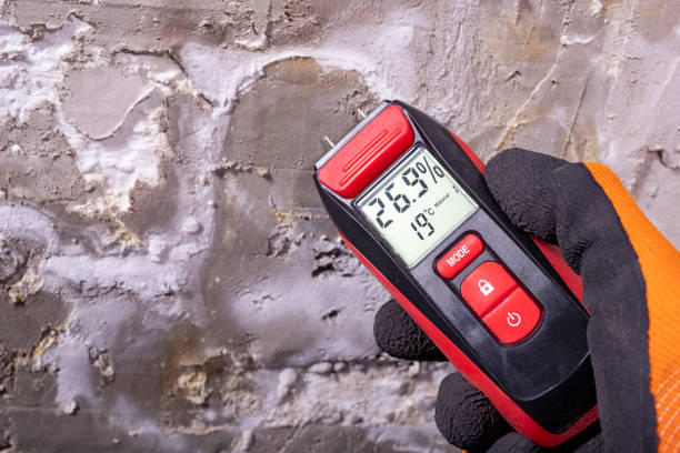 Best Basement Mold Remediation in Cleves, OH