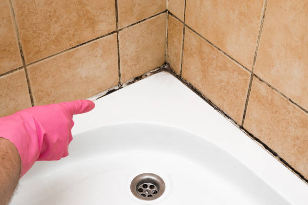Best Residential Mold Remediation in Cleves, OH